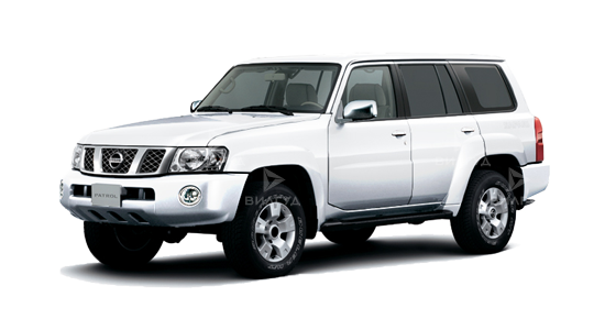 Диагностика двигателя Nissan Safari