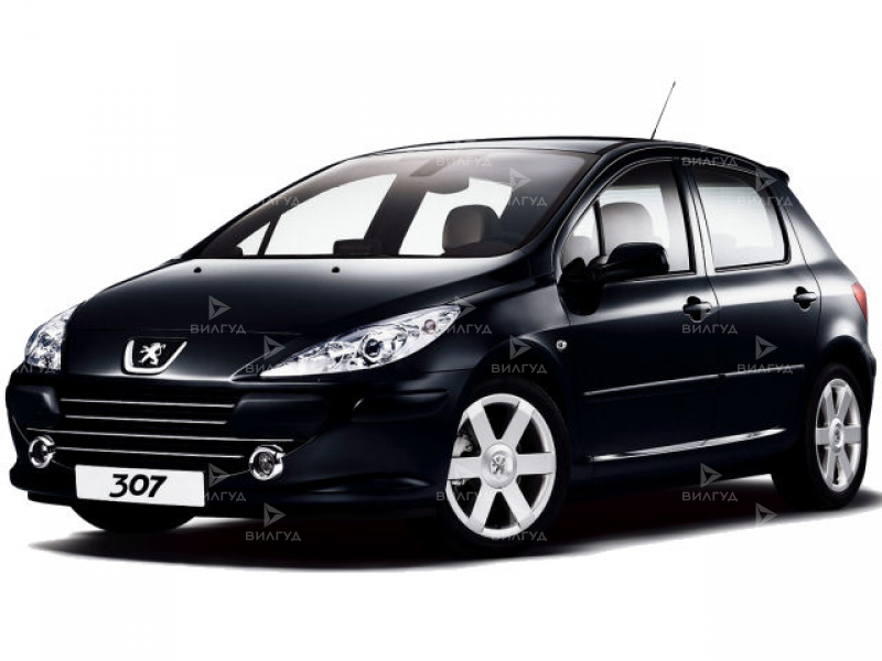 Диагностика двигателя Peugeot 307