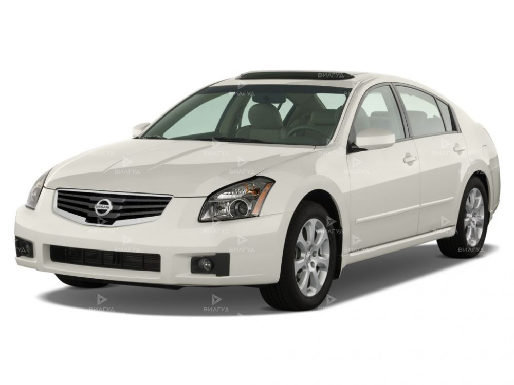 Техническое обслуживание Nissan Maxima Техническое обслуживание Nissan Maxima